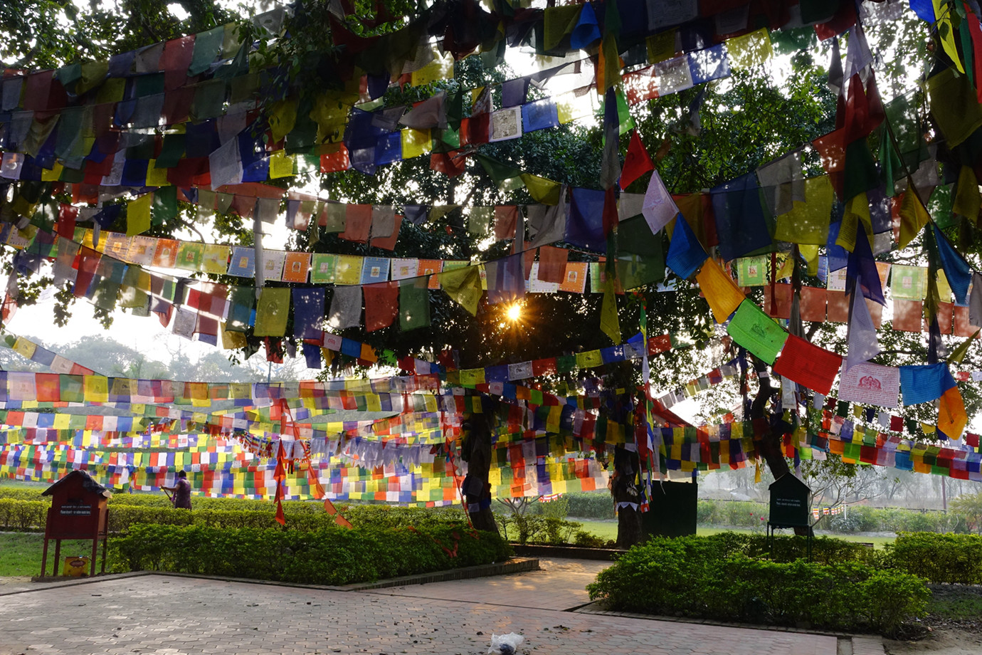 尼泊爾藍毗尼園 Lumbini 佛陀誕生地